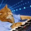 The Funky Cats Dope Discord