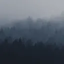 T&P Chill Zone Discord Server Icon