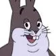 🌈🌈What if Big Chungus Lost World War 1?🌈🌈