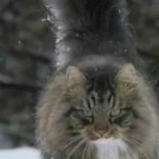 Сервер Blade мастер YT - Discord Server Сервер Blade мастер YT - Discord Server
