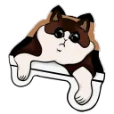 teescord