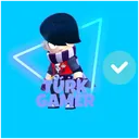 TÜRK GAMER