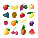 FRUTAS CORD