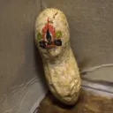 SCP - Server of Contained Pogchamps's icon