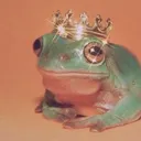 FROGNATION