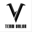 Team Valor