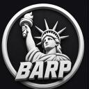 Big Apple RP v2.0 | New York City Life RP Discord Server Icon