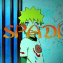 Official Spadi