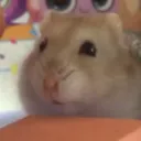 Коко лэнд