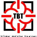 Türk Beyin Takımı