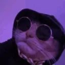Kitty Killas