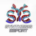Synthesis esport [sYs]