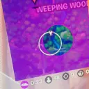 SCX SCRIMS