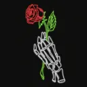『🌹』21 BARRAS