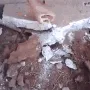 rat pit