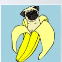 Banana Pugs Server