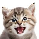 Nikki's Corner │ Meow :3 Discord Server Icon