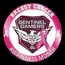 Sentinel Gamers