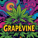 The Grapevine 🍇