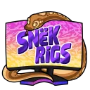 Rigs Fam