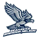 Seahawks Brendon Nelson's Server