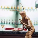 pigs place Discord server icon