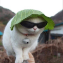 NEKOOOOS Server Icon