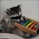 SkyHighRaccoon