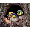 Ducks Nest