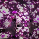 夜桜組 - 咲　𝔂𝓸𝔃𝓪𝓴𝓾𝓻𝓪