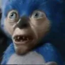 Sanic's Zone