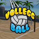 Volleggball icon