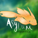 Asylum Aquatics