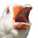 The Spicy Gaggle