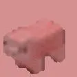 nina server