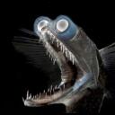 The Hydrothermal Vent Discord Server Icon