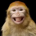 Monke Time's icon