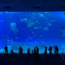 長谷部水族館