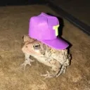 Tartarus Discord Server Icon