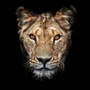 Lioness MineCraft