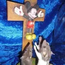 The Church of Mouse