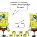 dumb idiot university Discord Server Icon