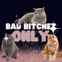 bad bitchez only