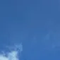 狂乱