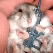 🐹 Агентство хомячков 🕴🏻 — мониторинг Discord сервера, статистика и рейтинг