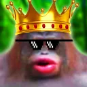 Monkey Kingdom Discord Server Icon