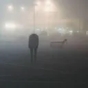 ᴍᴏʀᴛᴜɪ ꜱᴜɴᴛ ʀɪᴍᴏꜱᴀ