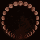 Sangue Al Chiarore Di Luna