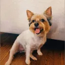 ABMXI's Discord