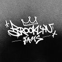 Discovery icon for 𝐏𝐓. 𝐁𝐑𝐎𝐎𝐊𝐋𝐘𝐍 𝐅𝐀𝐌𝐒, 𝐉𝐆𝐑. Discord server